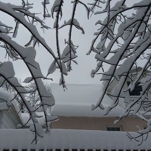 Meet your Posher, Terri